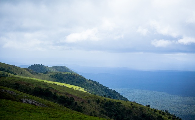 坎宁安38+12吹杨38分 比斯利24+7活塞险胜老鹰_篮板_比赛_NBA.